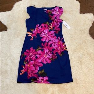Beautiful NWT Sheath dress